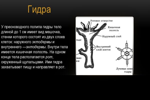 Кракен клирнет ссылка